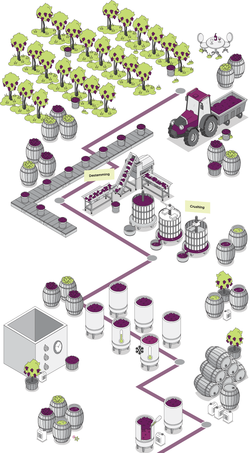 Contents Graphic